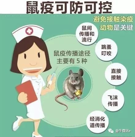 @新区人!冬天到了,预防鼠传染疾病,不得不知的这些事&hellip;