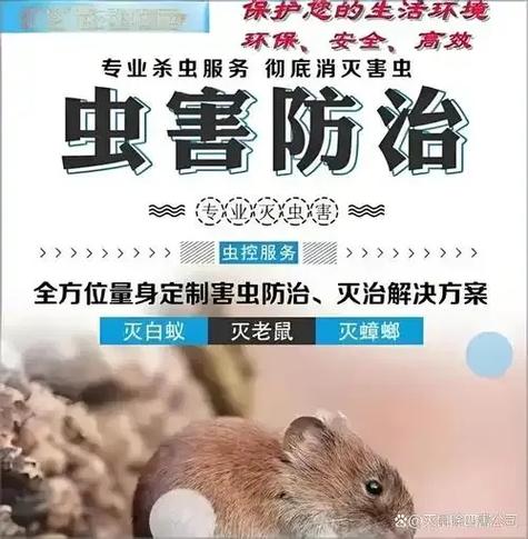 柯桥上门除四害灭老鼠 专业团队正规高效除虫灭鼠服务