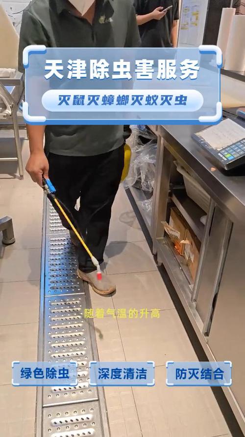 天津除虫害服务:灭鼠,灭蟑螂,灭蚁,灭虫