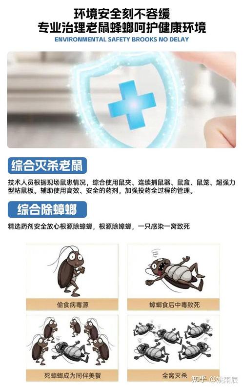 西安灭鼠公司室内植物防虫技巧