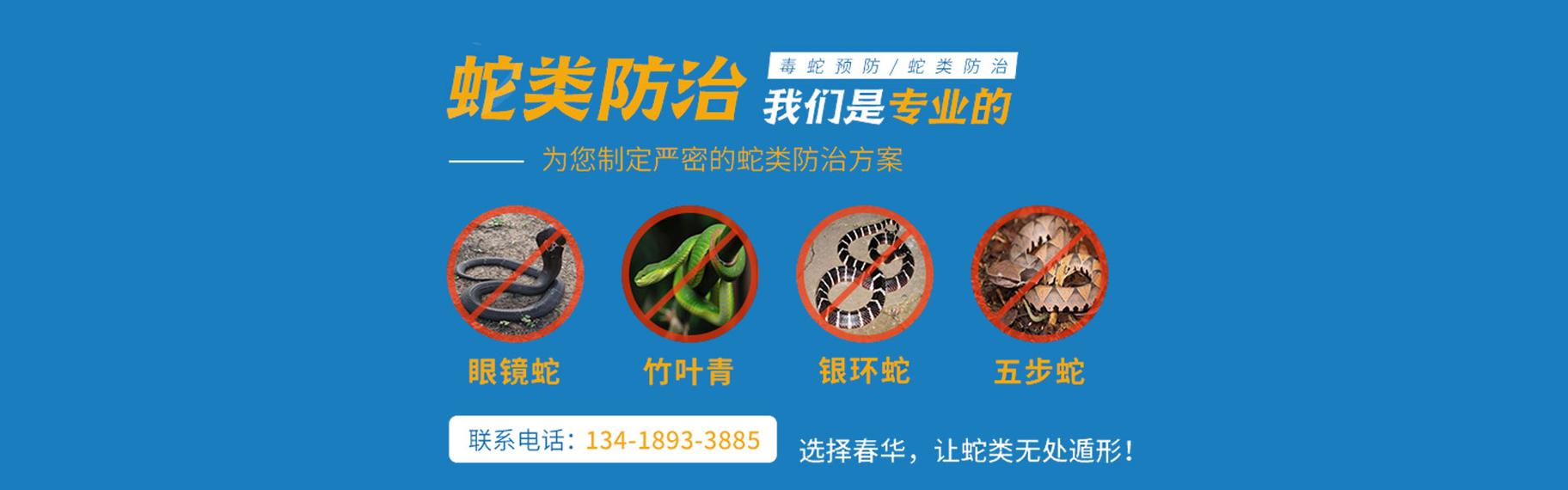 专业虫害防治服务_嵊州上门灭鼠